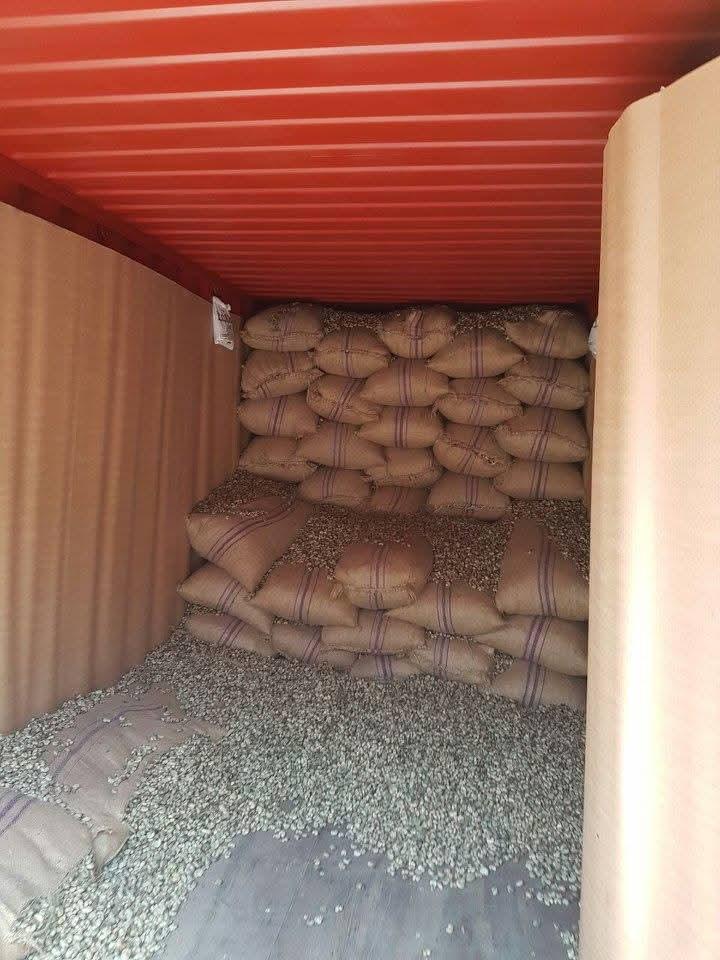 Sacs de noix de cajou chargés dans un conteneur